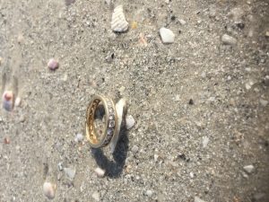 8-17-2016 b+metal detector rental+found+club+lost+ring+jewelry+tampa+St Petersburg+Largo+Clearwater+florida