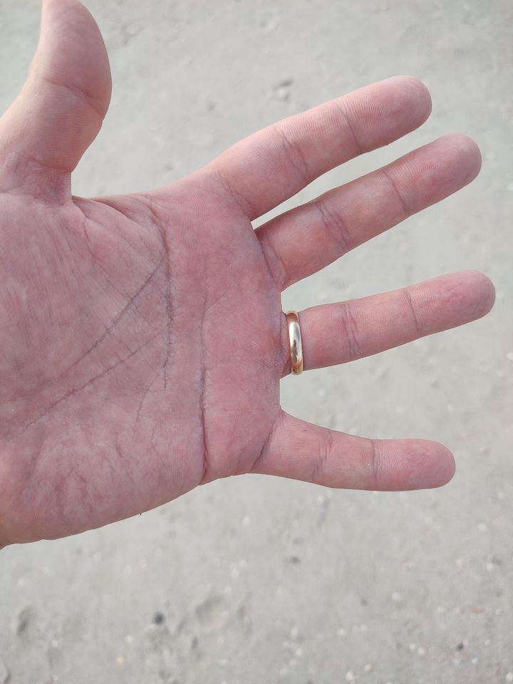 Wedding Ring Lost On Clearwater Beach, Recovered By SRARC